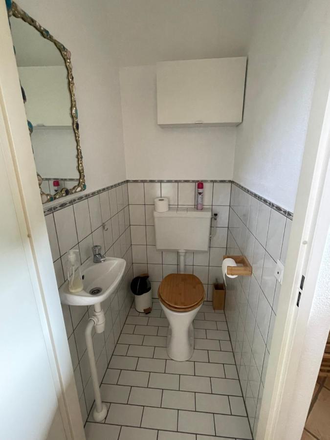 Freistehendes Ferienhaus Am See Naehe Roermond Heel Exteriér fotografie